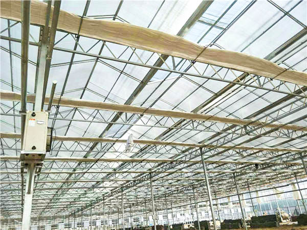 鋼架大棚 鋼架大棚